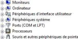 Windows Geräte-Manager mit Ports COM und LPT